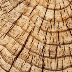 Indoor/Outdoor Faux Concrete Stump Accent Table Brown - Threshold™ Designed With Studio McGee -Threshold Furniture Outlet GUEST 03deabfd 2b62 4725 94b4 09a321ea8678