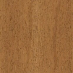 2pk Timo Dining Chair Cream - Threshold™ -Threshold Furniture Outlet GUEST 5d779e0e 0b3d 4661 9e88 19bec517fd72